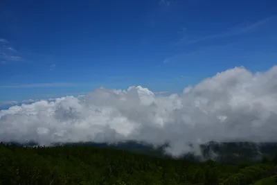 DSC_3614 (Large).JPG